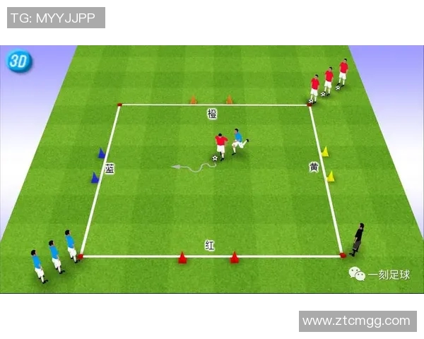 从青训到职业生涯全方位解析如何培养足球巨星的成功之路